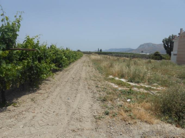 (For Sale) Land Agricultural Land  || Korinthia/Assos-Lechaio - 2.600Sq.m, 120.000€ 