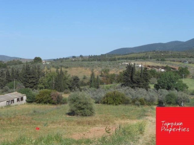 (For Sale) Land Plot || Korinthia/Tenea - 1.394Sq.m, 115.000€ 
