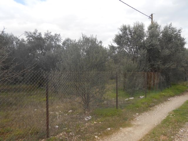 (For Sale) Land Plot || Korinthia/Saronikos - 695,00Sq.m, 50.000€ 