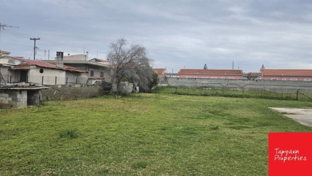 (For Sale) Land Plot || Korinthia/Assos-Lechaio - 1.000 Sq.m, 170.000€ 