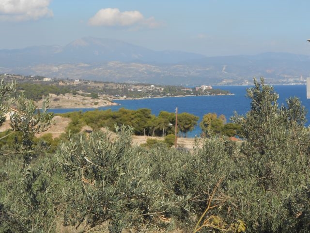 (For Sale) Land Plot || Korinthia/Saronikos - 248.960,00Sq.m, 300.000€ 