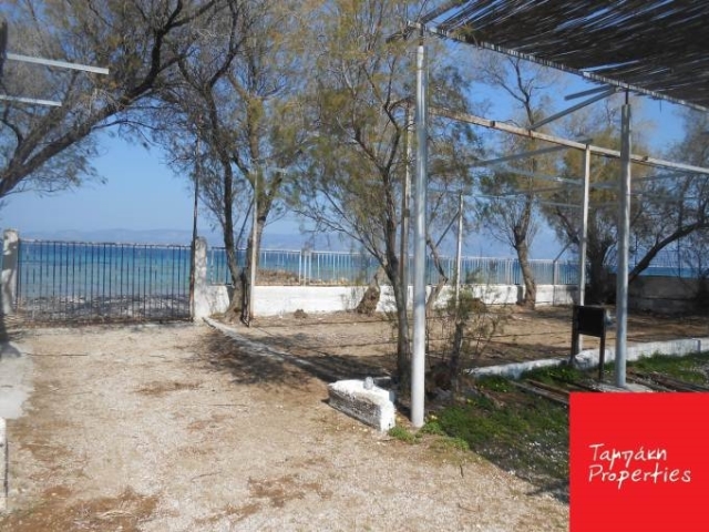 (For Sale) Land Plot || Korinthia/Assos-Lechaio - 12.500Sq.m, 4.200.000€ 