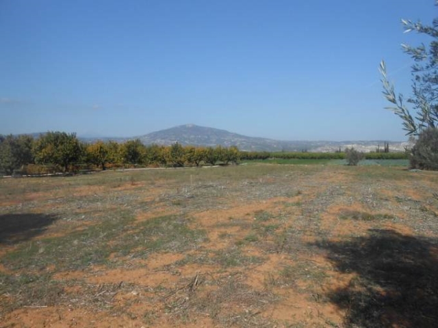 (For Sale) Land Agricultural Land  || Korinthia/Tenea - 3.493Sq.m, 17.500€ 