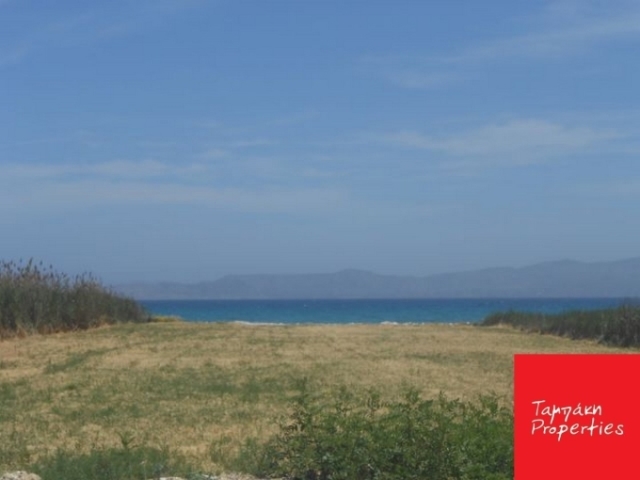 (For Sale) Land Plot || Korinthia/Assos-Lechaio - 3.100Sq.m, 800.000€ 