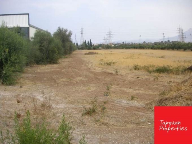 (For Sale) Land Plot || Korinthia/Korinthia - 6.000,00Sq.m, 400.000€ 